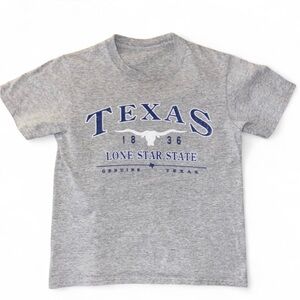 Gray Texas Lone Star State T-Shirt